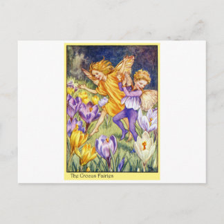 Crocus Fairy Postcard