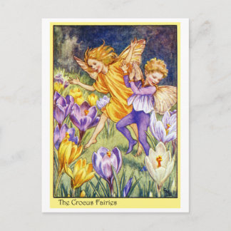 Crocus Fairy Postcard