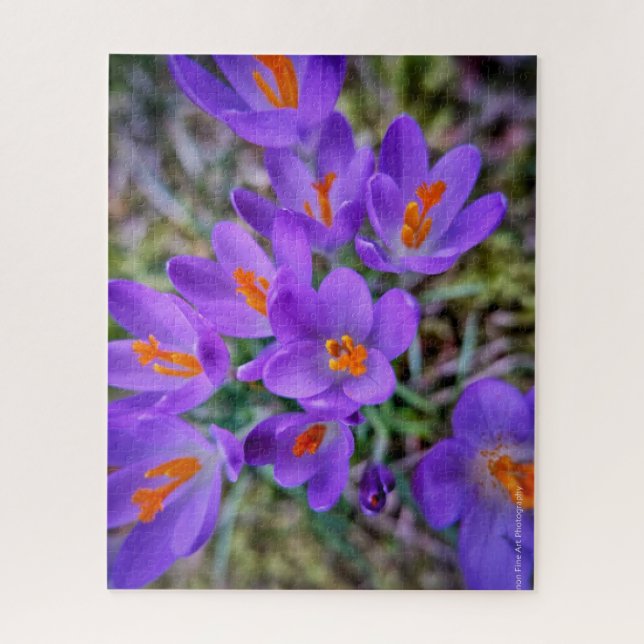 Crocus Fine Art Jigsaw Puzzle (Vertical)