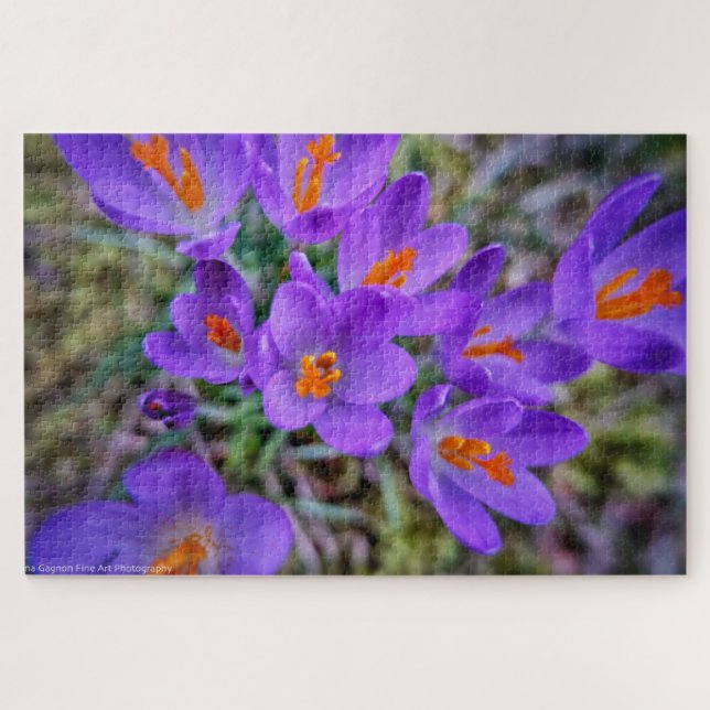 Crocus Fine Art Jigsaw Puzzle (Horizontal)