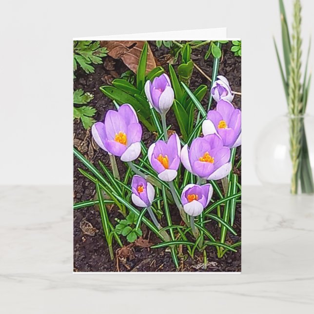 Crocus Flower Happy Easter Card (Front)