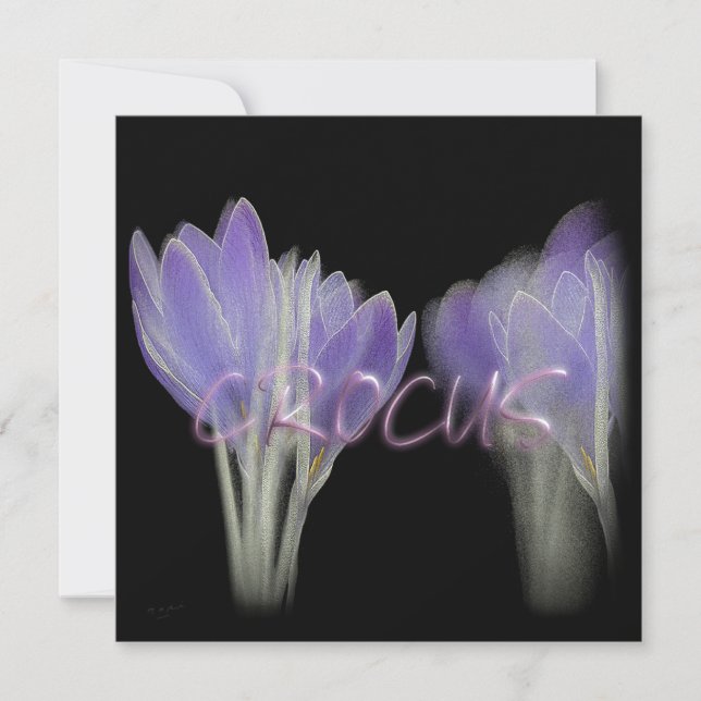 CROCUS FLOWER HOLIDAY CARD (Front)