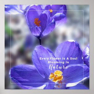 Crocus Flower Photo With Quote Poster