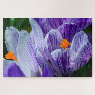 crocus flower puzzle