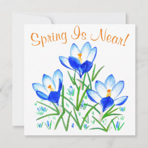 Crocus Flowers on White Flat Card