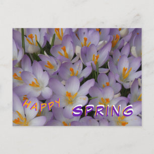 Crocus Flowers Pattern Happy Spring Postcard