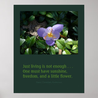Crocus garden inspirational poster
