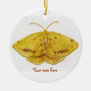Crocus Geometer Moth Ornament