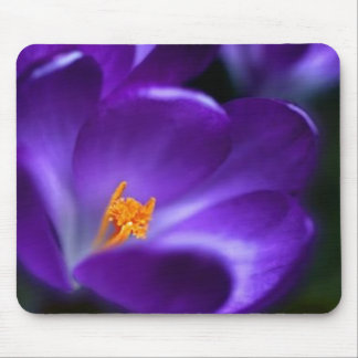 crocus mouse mat