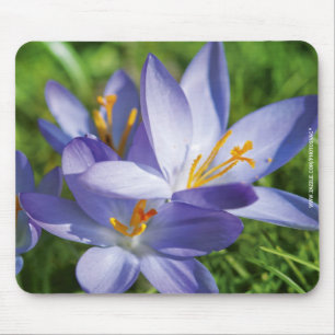Crocus Mouse Mat