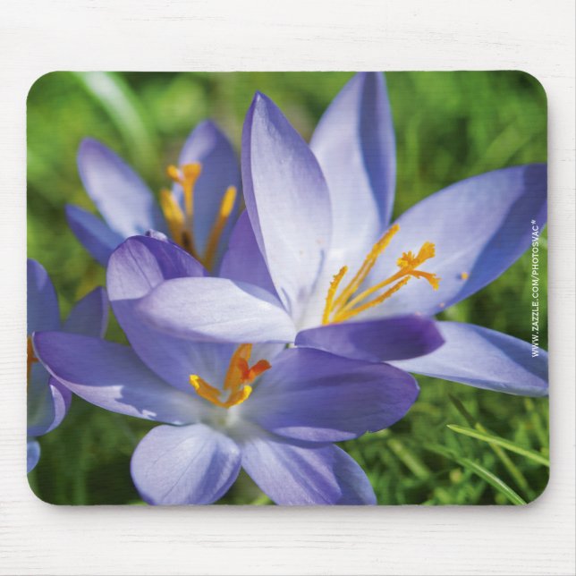 Crocus Mouse Mat (Front)