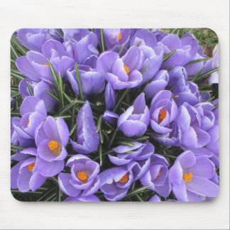 Crocus mousepad