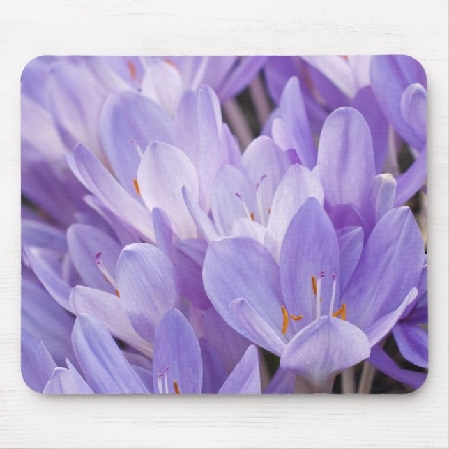 Crocus Mousepad (Front)