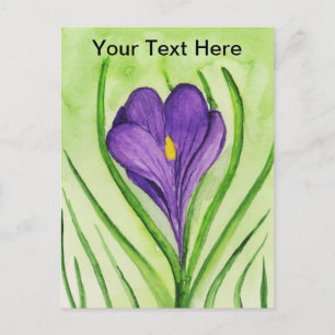 Crocus Postcard