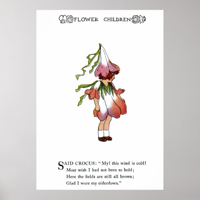 Crocus Poster (Front)