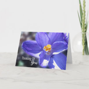 Crocus Purple Thinking Of You Card