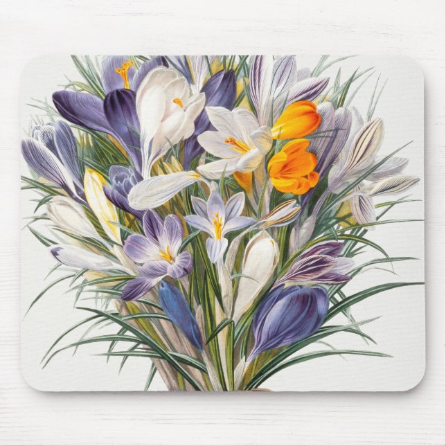 Crocus Spring Flower Botanical Floral Art Mouse Mat (Front)