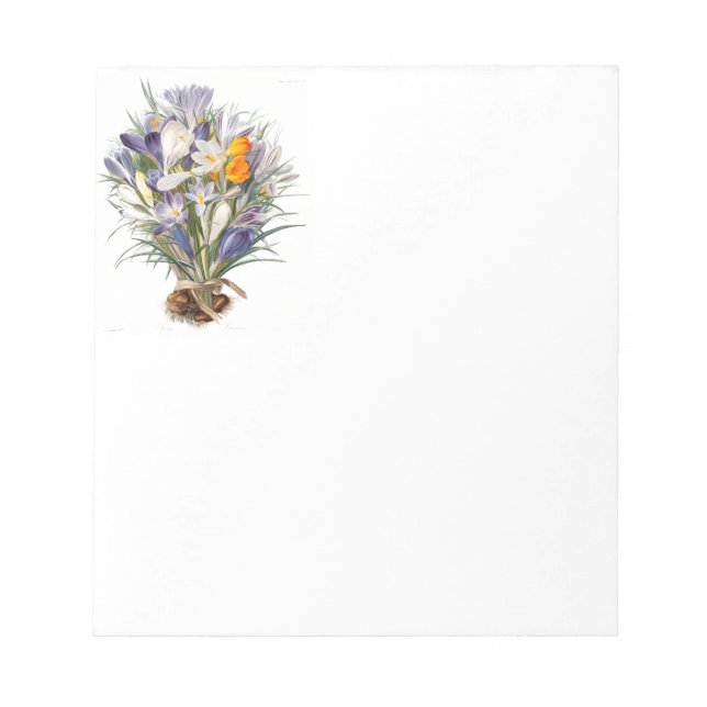 Crocus Spring Flower Botanical Floral Art Notepad (Front)