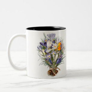 Crocus Spring Flower Botanical Floral Art Two-Tone Coffee Mug