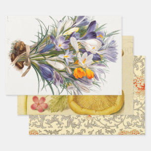 Crocus Spring Flower Botanical Floral Art Wrapping Paper Sheet