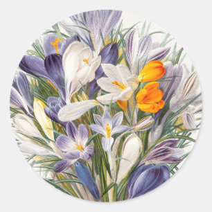 Crocus Spring Flower Floral Art Classic Round Sticker