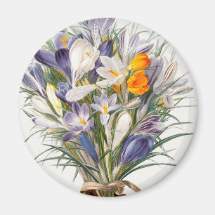 Crocus Spring Flower Floral Art Magnet