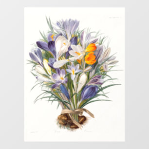 Crocus Spring Flower Floral Art Window Cling