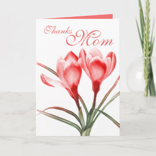 Crocus "Thanks Mum" pink red mothers card