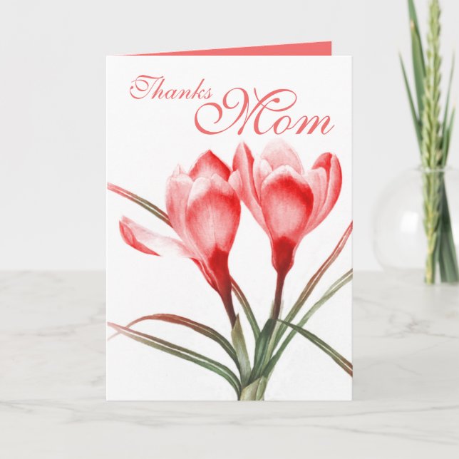 Crocus "Thanks Mum" pink red mothers card (Front)