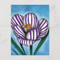 Crocus Will Preen Postcard