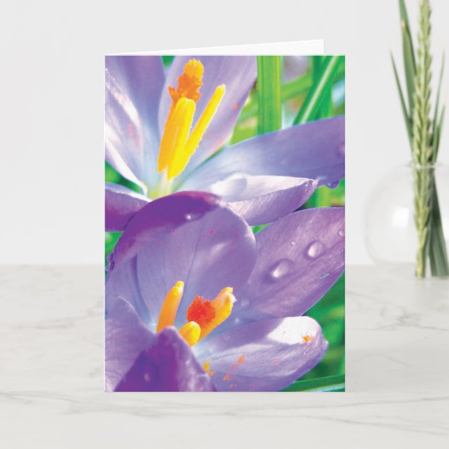 Crocus With Dew Colourful Flower Poetry Card (Front)