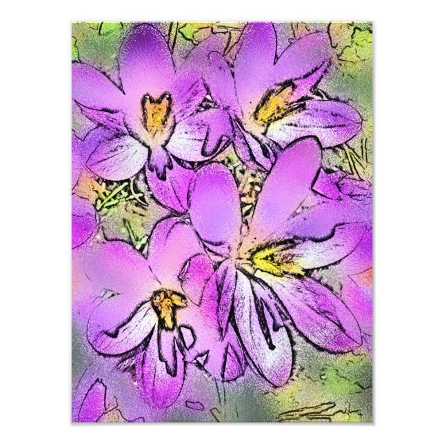 CROCUSES PHOTO PRINT (Front)