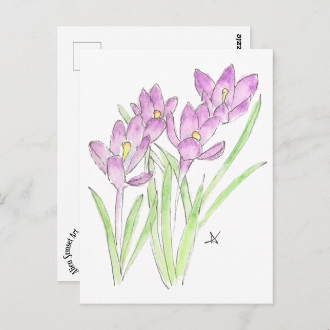 crocuses postcard (Front/Back)