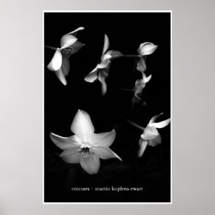 Crocuses Poster
