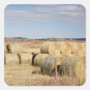Crook County, Hay Bales 2 Square Sticker