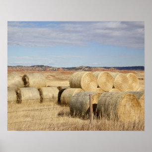 Crook County, Hay Bales Poster