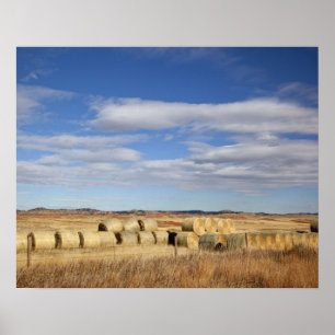 Crook County, Hay Bales Poster