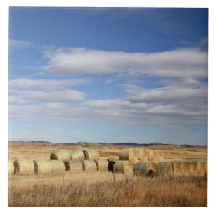 Crook County, Hay Bales Tile