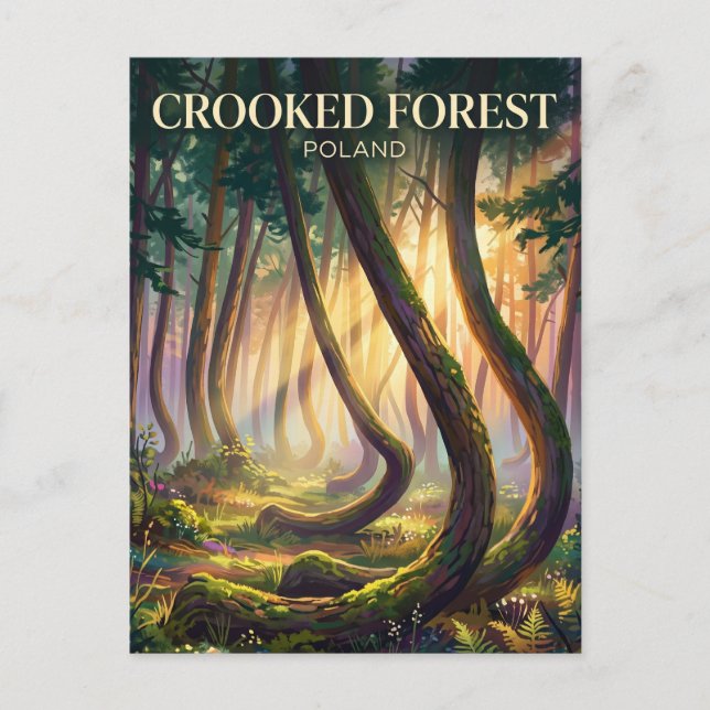 Crooked Forest Poland Postcard (Front)
