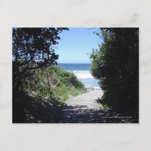 Crooked Path Postcard