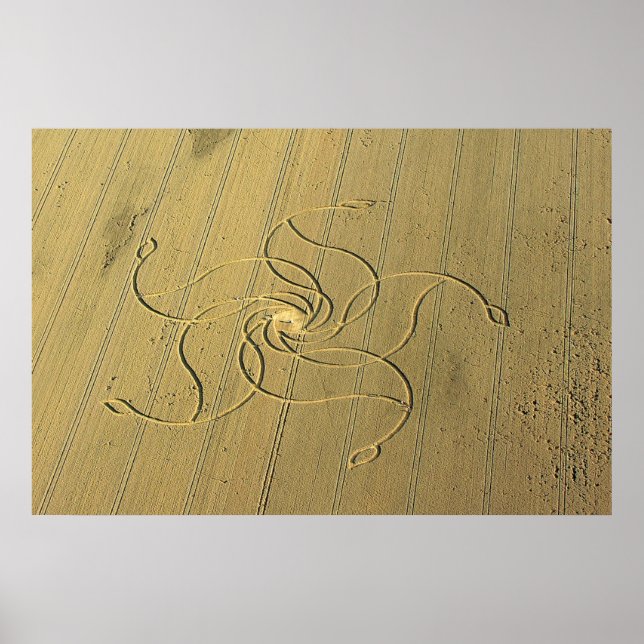 Crop Circle in Diessenhofen, Switzerland / Poster (Front)