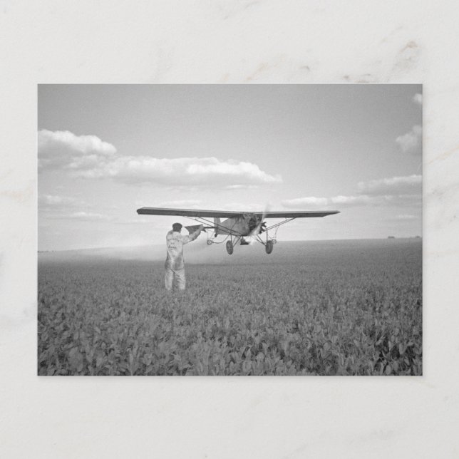 Crop Duster, 1938 Postcard (Front)