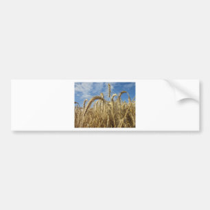 Crops of Cereals and Summer Sky Bumper Sticker