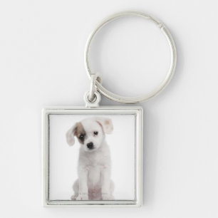 Cross breed puppy (2 months old) key ring