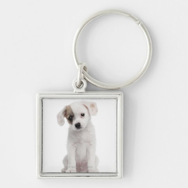 Cross breed puppy (2 months old) key ring (Front)