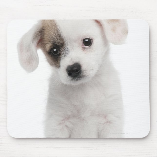 Cross breed puppy (2 months old) mouse mat (Front)