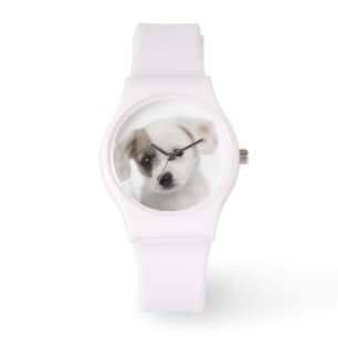 Cross breed puppy (2 months old) watch