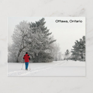 Cross Country Skiing on a Frosty Day Postcard