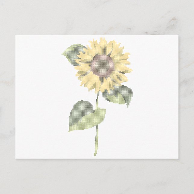 cross dot sunflower postcard (Front)
