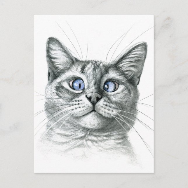 Cross Eyed cat G122 Postcard (Front)